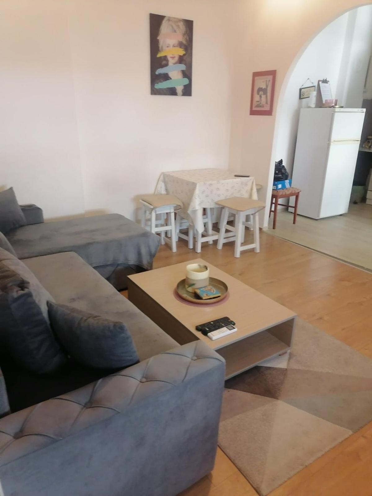 公寓 Flat In Center, 45m2 贝尔格莱德